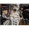 Image 3 : MEDICAL ANATOMICAL SKELETON ON CAST IRON ROLLING STAND