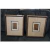Image 1 : 2 FRAMED PICTURES