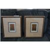 Image 4 : 2 FRAMED PICTURES