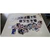 Image 1 : Lot of plastic cased NHL young gun allstars and rookies
