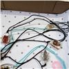 Image 2 : 12 ENCASED BUG NECKLACES