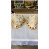 Image 1 : 2 CONCH SHELLS - APPROX 10 INCHES LONG