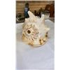 Image 2 : 2 CONCH SHELLS - APPROX 10 INCHES LONG