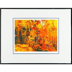 Tom Thomson (1877-1917) "Maple Saplings, October" Art Print. Limited Somerville Edition #8/975. Scar
