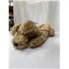 Image 2 : Merrythought Pajama Holder Puppy Vintage