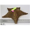 Image 1 : DECORATIVE STAR FISH
