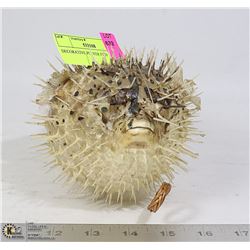 DECORATIVE PUFFER FISH