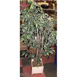 SILK TREE 5FT