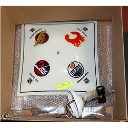 HOCKEY CEILING LIGHT FIXTURE