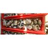 Image 2 : ASSORTED SIZES OF PIPE CONNECTORS/FITTINGS