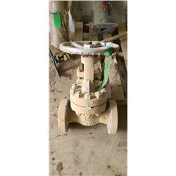 NEWCO 1500 -2" VALVE