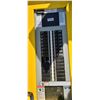 Image 9 : DANDY 2012 CONSTRUCTION POWER PANEL C/W 120/280V 250 AMPS