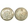 Image 1 : Foreign Coins: Botswana, silver 10 pula, 1978, 35.45g (50% silver)