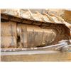 Image 17 : 1997 CATERPILLAR D8R Dozer / Crawler Tractor