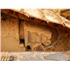 Image 20 : 2008 CATERPILLAR D6T XL Dozer / Crawler Tractor
