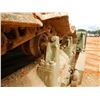 Image 19 : 1971 CATERPILLAR D7F Dozer / Crawler Tractor