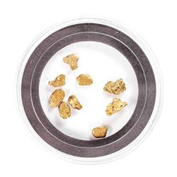 Lot of Gold Nuggets 2.95 grams Total Weight