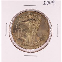 2009 $1 American Silver Eagle Coin Nice Toning