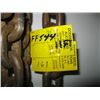 Image 2 : 11 FT CHAIN WITH 2 HOOKS