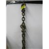 Image 1 : 12 FT CHAIN WITH 2 HOOKS