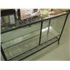 Image 1 : 4' X 1'4" GLASS/METAL SHOWCASE