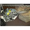 Image 1 : LARGE LOT OF ASSORTED GOOSE & DUCK DECOYS