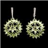 Image 1 : Natural Peridot Rhodolite Garnet 63 Cts  Earrings