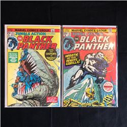 The BLACK PANTHER #14/ #13 (MARVEL COMICS)