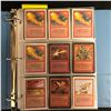 Image 2 : MAGIC THE GATHERING CARD LOT (BLUE/ RED)