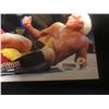 Image 4 : HULK HOGAN & RICK FLAIR DUAL SIGNED 8 X 10 WRESTLING PHOTO (PSA/DNA COA)