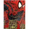 Image 2 : SPIDER-MAN #1 (MARVEL COMICS) Signed by Todd McFarlane