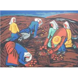 Friedrich Wilheim (Fritz) Brandtner CGP