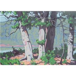 Frederick Stanley Haines PRCA (1879-196