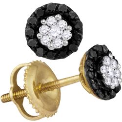 Womens Round Black Color Enhanced Diamond Cluster Earrings 1/4 Cttw 10kt Yellow Gold - REF-9R5X