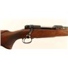 Image 5 : Winchester Pre-'64 Model 70 Featherweight