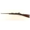 Image 2 : Springfield 1884 Trapdoor Carbine .45-70