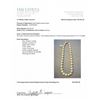 Image 2 : Extra Ordinary Luxury Strand of Natural