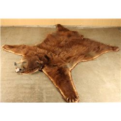 Bear Rug