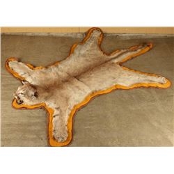 Mountain Lion Rug