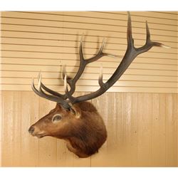 Elk Mount