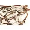 Image 2 : Lot of (4) Headstalls