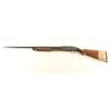 Image 2 : Winchester Model 25 12 Ga SN: 43797