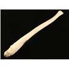 Image 2 : Baculum from a Walrus