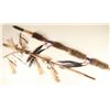 Image 1 : Lot of (2) Indian Medicine Staff's