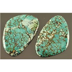 Lot of 2 Turquoise Stones