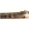 Image 5 : Springfield 1873 Trapdoor .45-70 SN: 95278