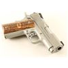 Image 4 : Kimber Stainless Ultra Raptor II .45 ACP