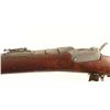 Image 3 : OWG M1877 Werndl Carbine 11x58mmR SN: 4821D