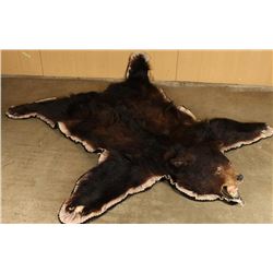 Grizzly Bear Rug