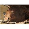 Image 2 : Grizzly Bear Rug